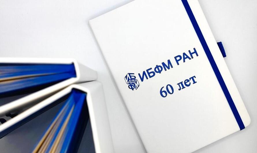 ИБФМ  РАН