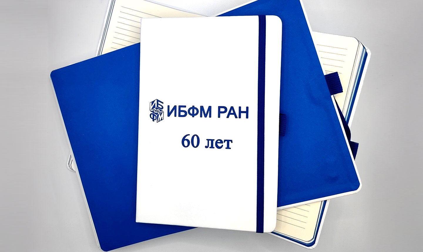 ИБФМ  РАН