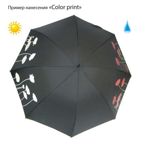 Зонты с печатью Color Print