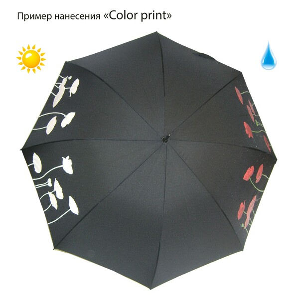 Зонты с печатью Color Print